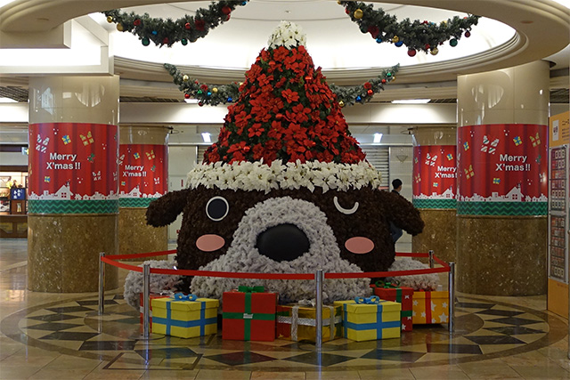 20151121-DSC09314