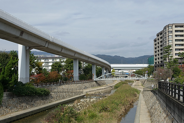 20151121-DSC09350