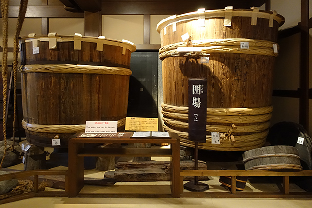 20151121-DSC09362