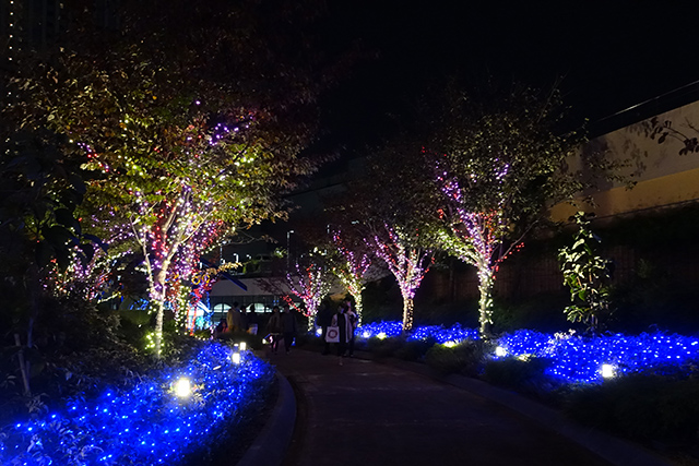 20151121-DSC09514