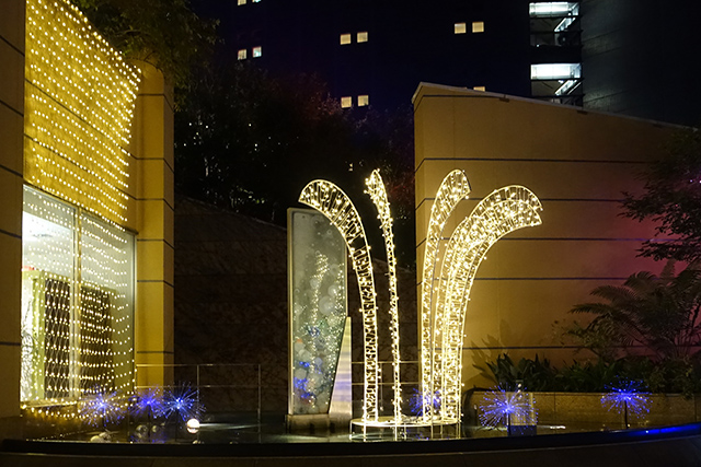 20151121-DSC09517