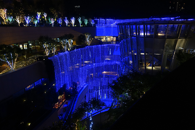 20151121-DSC09561