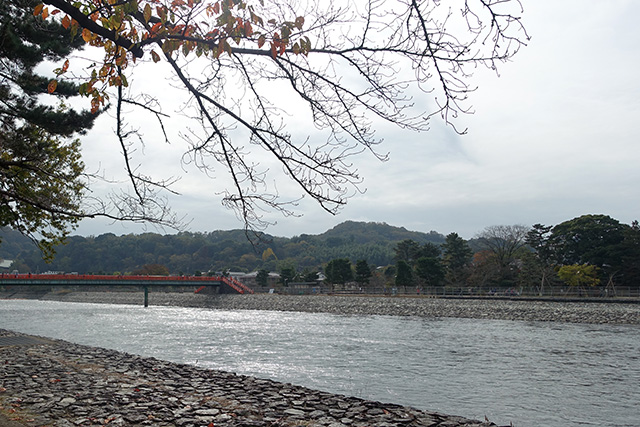 20151122-DSC09618