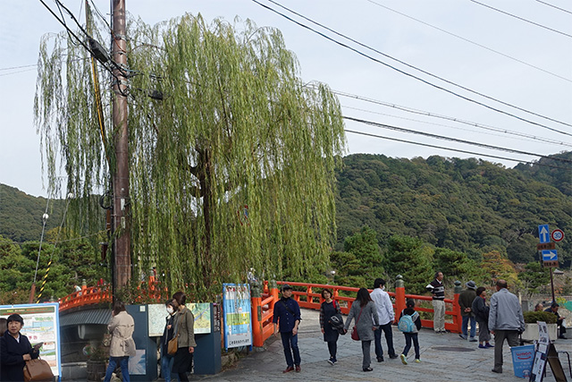 20151122-DSC09713
