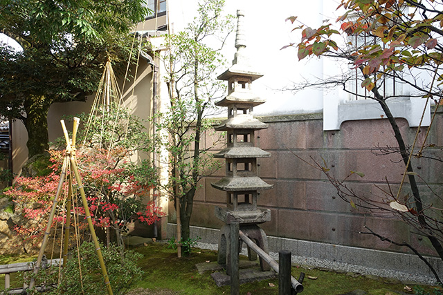 20151123-DSC00018