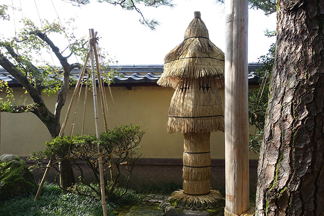 20151123-DSC00020