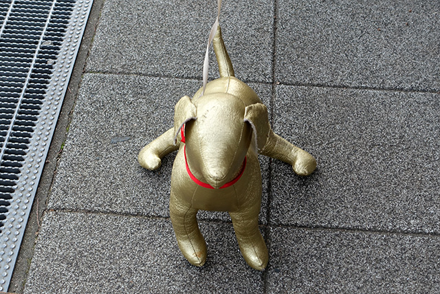 20151123-DSC00040