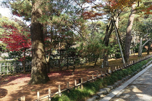 20151123-DSC00043