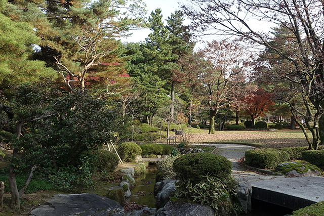 20151123-DSC00087