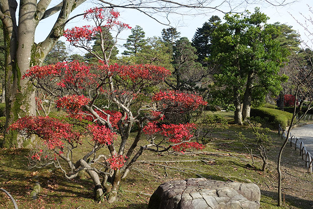 20151123-DSC00090
