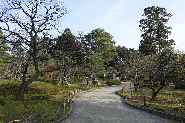 20151123-DSC00096