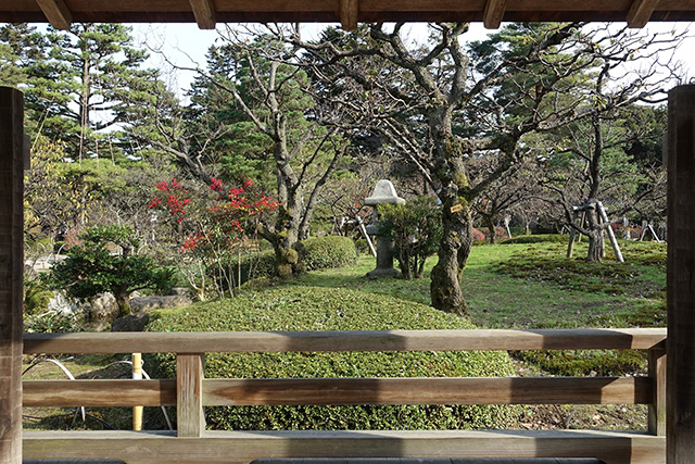 20151123-DSC00101