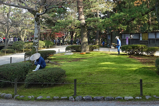 20151123-DSC00112