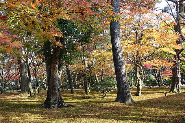20151123-DSC00117