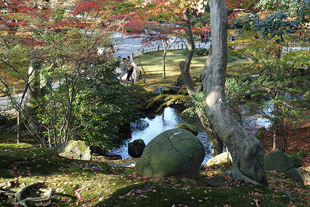 20151123-DSC00145