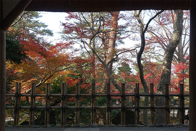 20151123-DSC00153