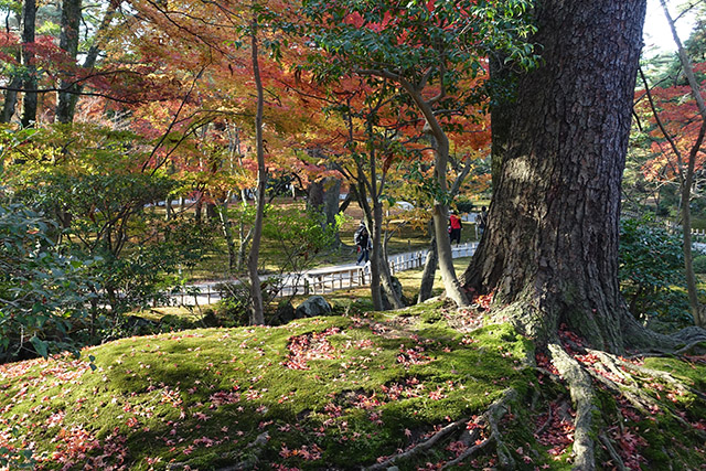 20151123-DSC00158