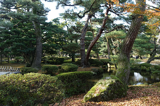 20151123-DSC00162