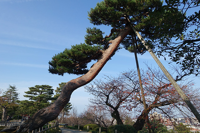 20151123-DSC00178