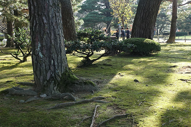20151123-DSC00200