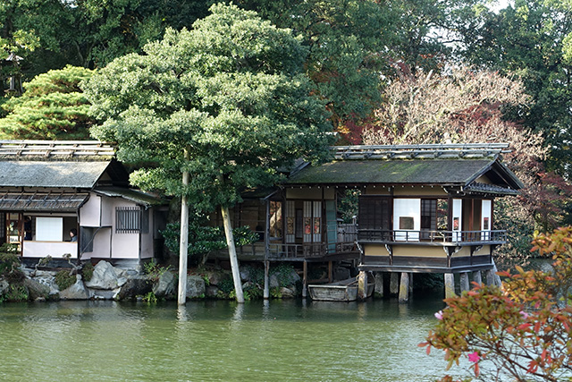 20151123-DSC00205