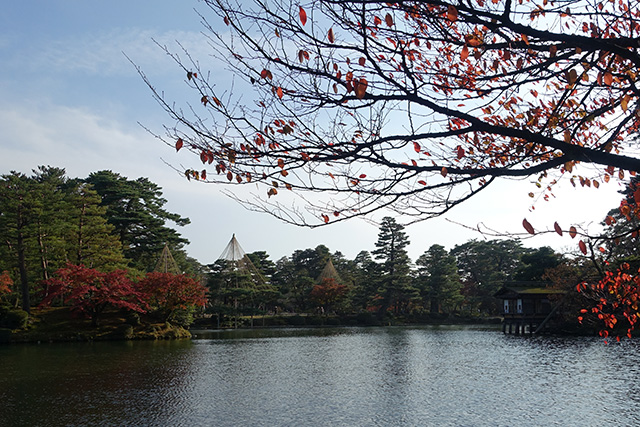 20151123-DSC00223