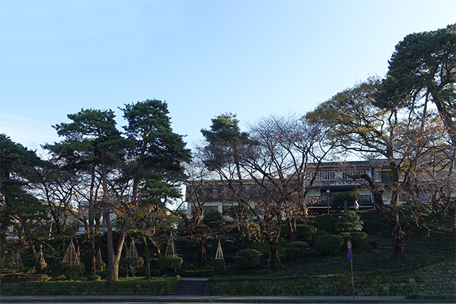 20151123-DSC00277