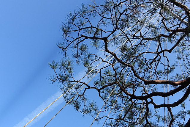 20151123-DSC00279