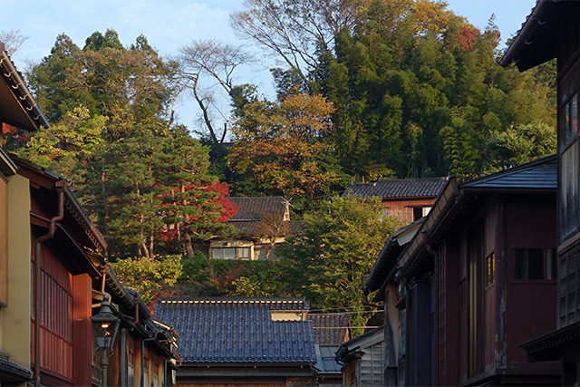 20151123-DSC00310