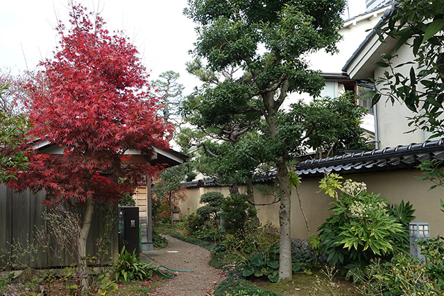 20151123-DSC09972