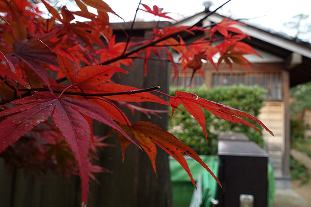 20151123-DSC09976