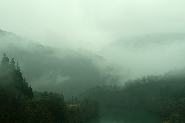 20151124-DSC00442