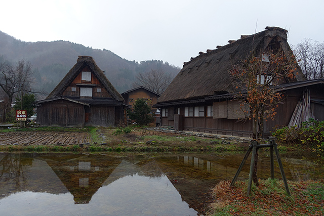 20151124-DSC00483