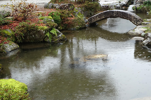 20151124-DSC00488