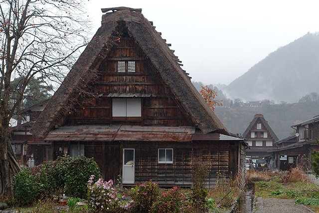20151124-DSC00489