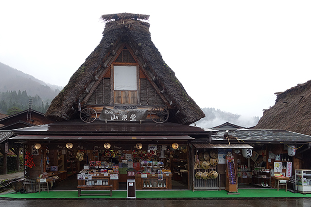 20151124-DSC00503