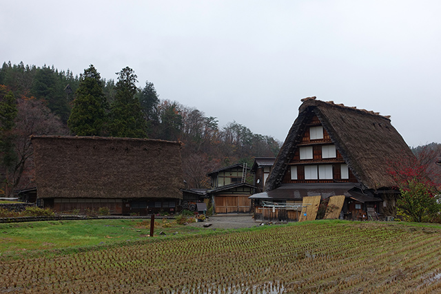 20151124-DSC00525