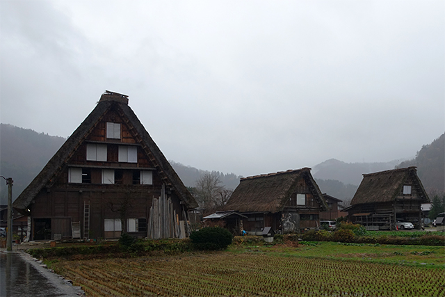20151124-DSC00549