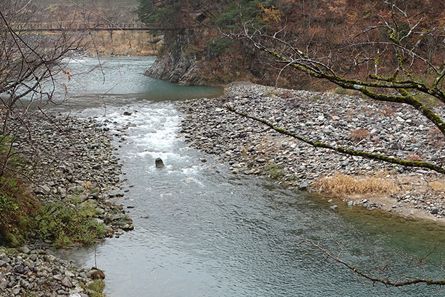 20151124-DSC00558
