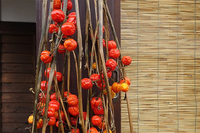 20151124-DSC00568