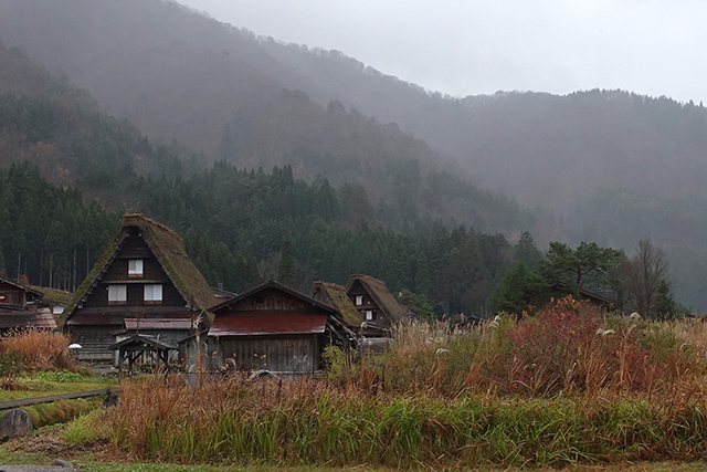 20151124-DSC00585