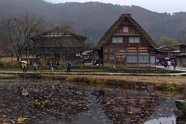 20151124-DSC00590