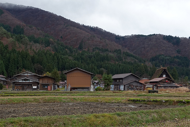 20151124-DSC00604