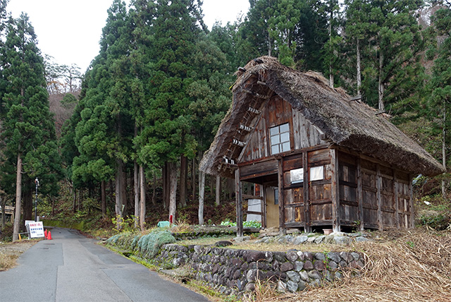 20151124-DSC00609