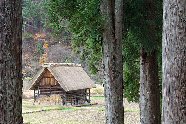 20151124-DSC00616