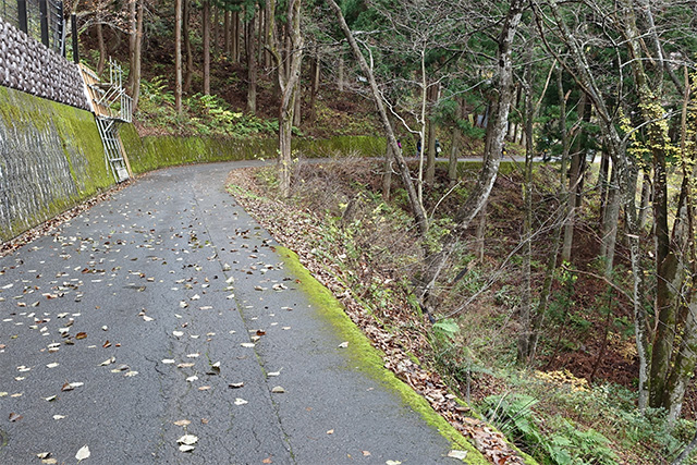 20151124-DSC00620