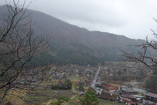 20151124-DSC00627