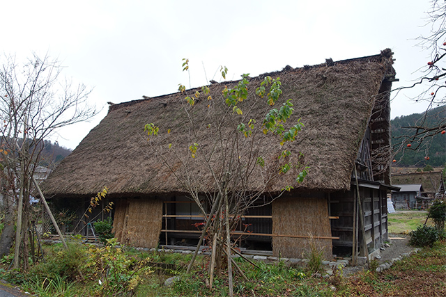 20151124-DSC00723