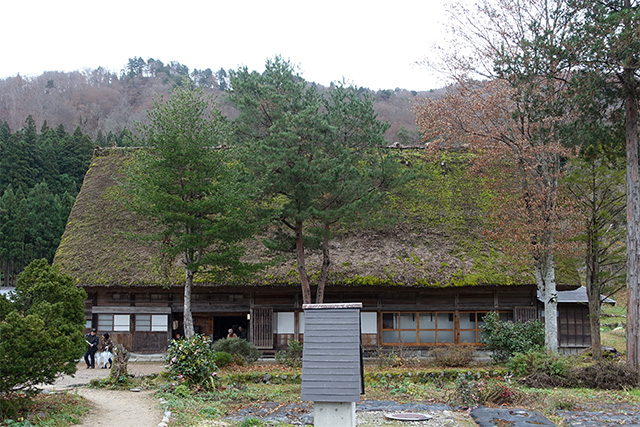 20151124-DSC00731