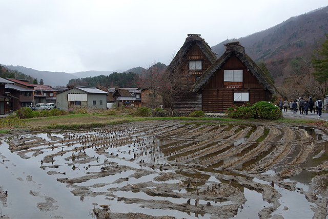 20151124-DSC00756